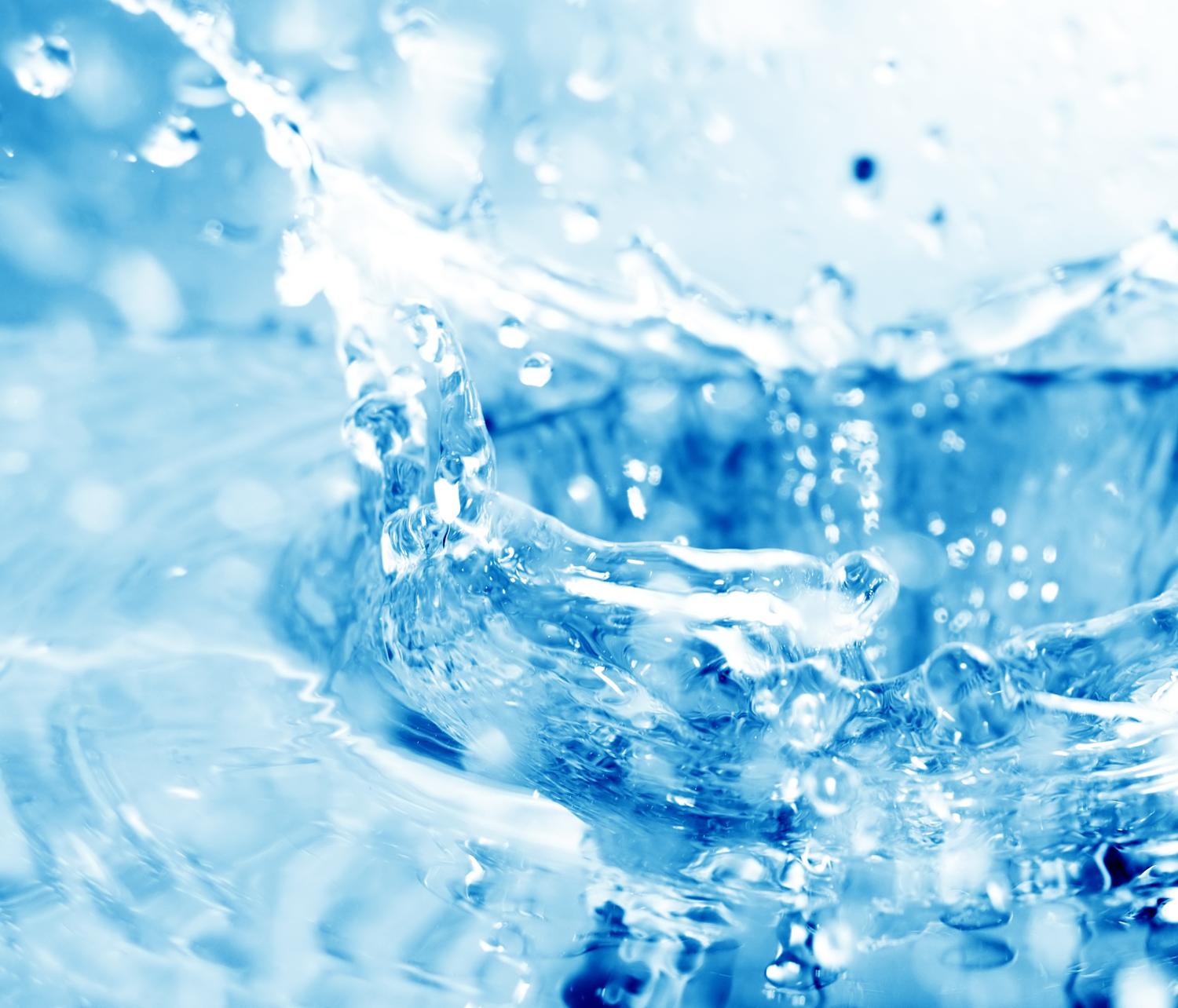 Роль воды в организме Роль воды в организме